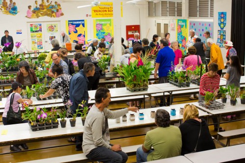 Members and guests browsed and made bids on plants they wanted.