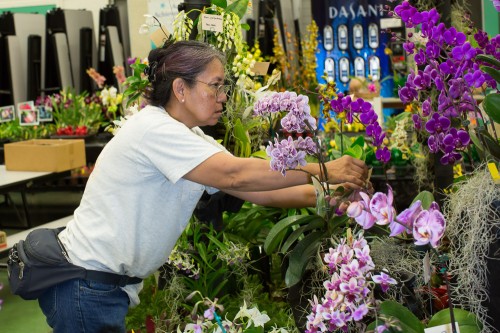 Inez Brunson adjusts an ID tag on a plant.