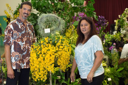 Roy and Sheila Andrade proudly display their well grown Den. aggregatum.